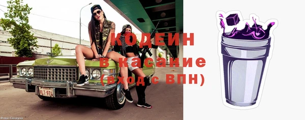 прущие грибы Няндома