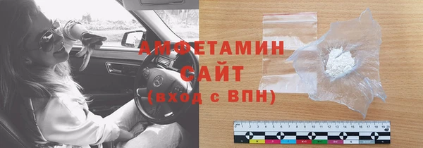 молекула духа Осташков