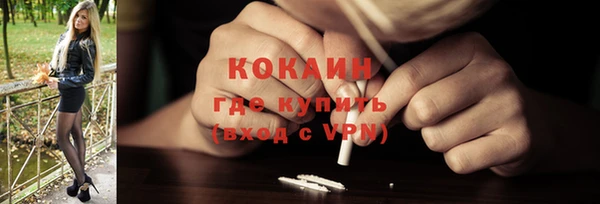 молекула духа Осташков