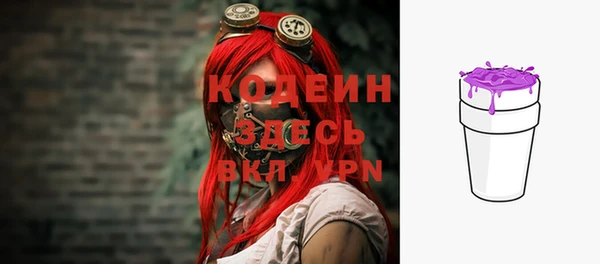 прущие грибы Няндома