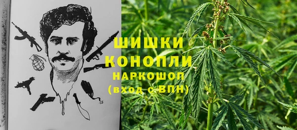 прущие грибы Няндома
