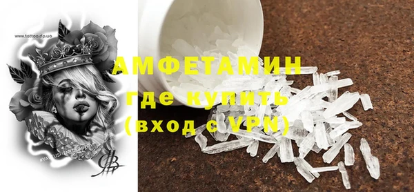 молекула духа Осташков