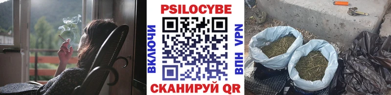 Псилоцибиновые грибы Psilocybe  что такое наркотик  Калтан 